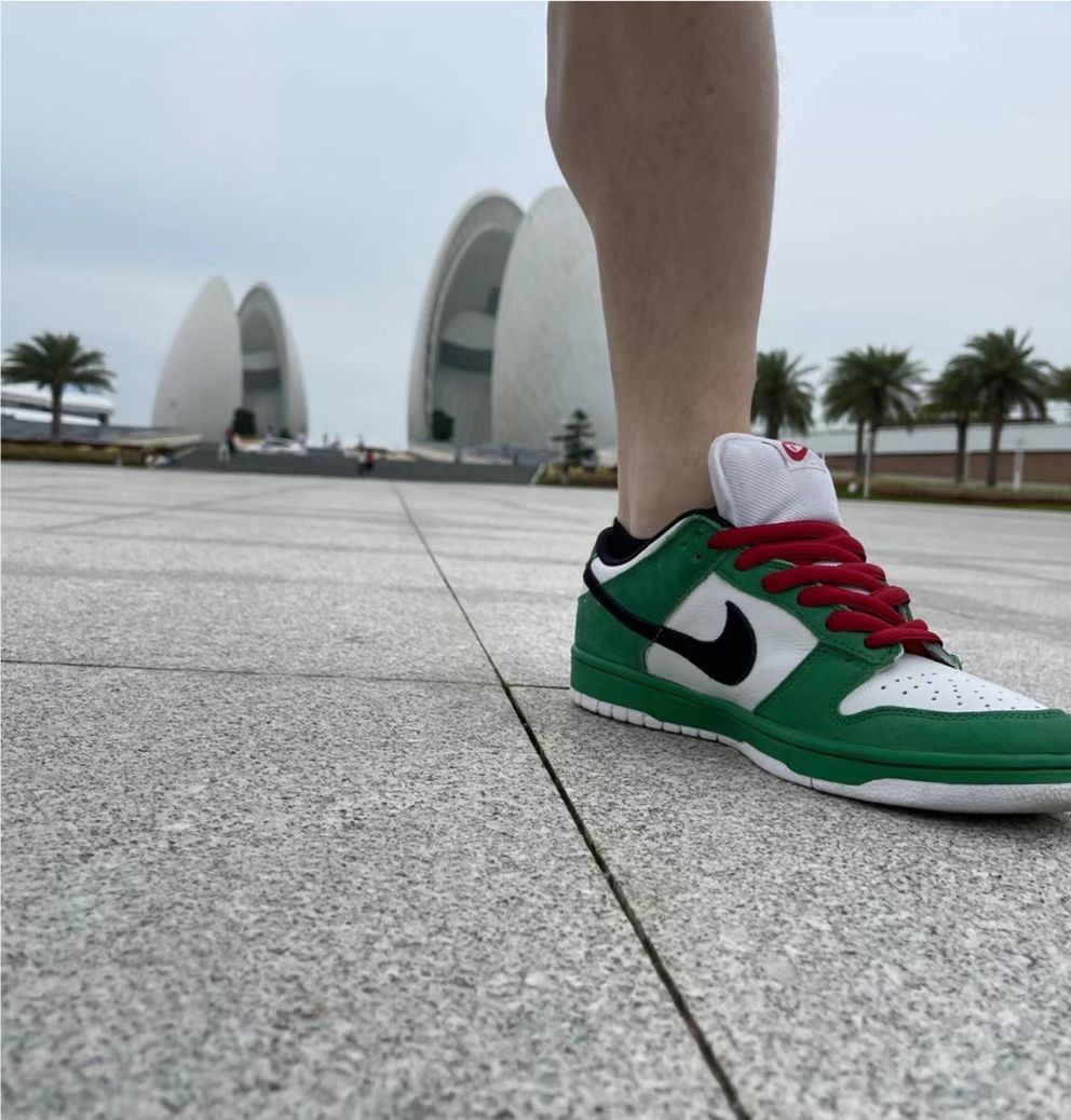 GB Nike Dunk SB Low Pro Heineken review seyikari