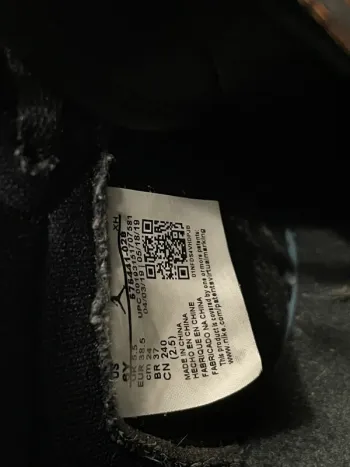  PRO   Air Jordan 1 Retro High OG “Shattered Backboard 3.0” review Alex 05