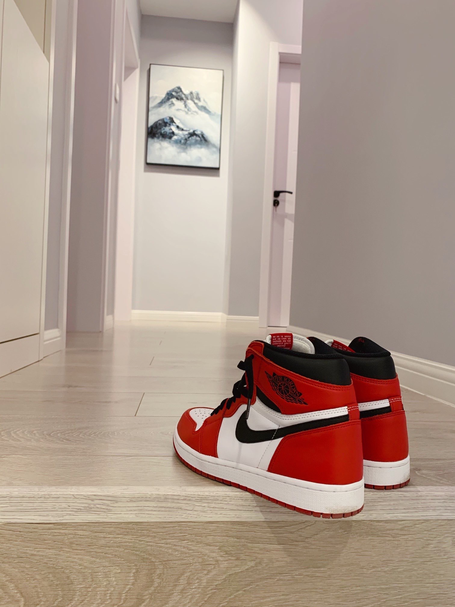 PRO  Air Jordan 1 High OG Chicago review Grace 02