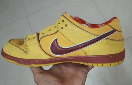 SX Concepts x NK SB Dunk Low 