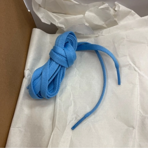  PRO Air Jordan 1 High New North Kalan review 