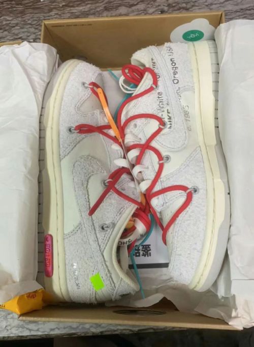 GB OFF WHITE x Nike Dunk SB Low The 50 NO.40 review 