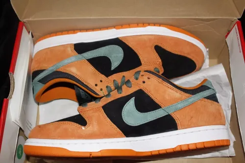 SX Nike Dunk Low SP“Ceramic” review 