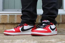 XH Air Jordan 1 Low Low Help Chicago review Amy
