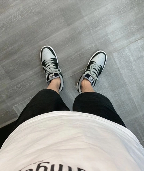 SX Nike SB Dunk Low Pro“J-Pack Shadow” review 