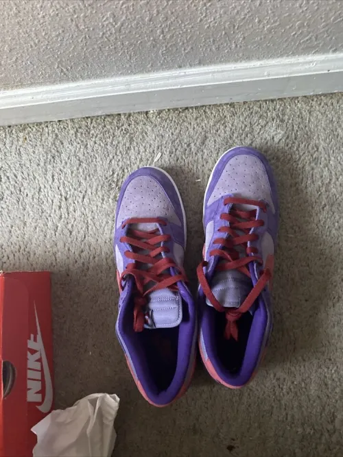 SX Nike Dunk Low “Plum” review 
