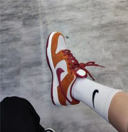 SX Nike SB Dunk Low Pro Dark Russet Cedar review Vern 02