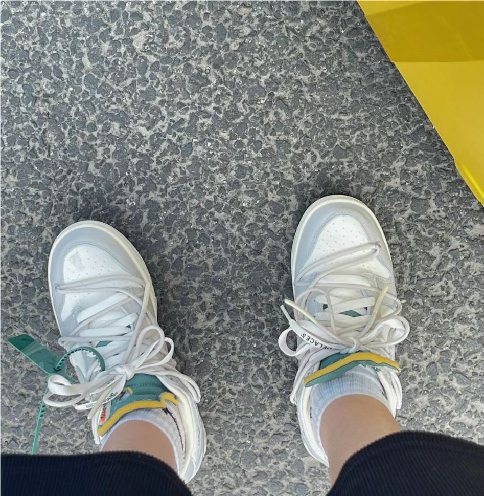 GB OFF WHITE x Nike Dunk SB Low The 50 NO42 review Krasnova 02