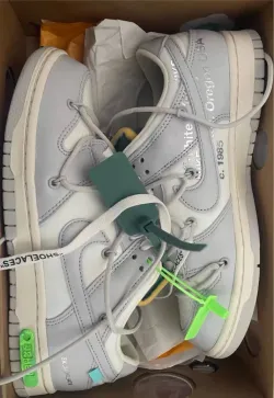GB OFF WHITE x Nike Dunk SB Low The 50 NO42 review Allison 02