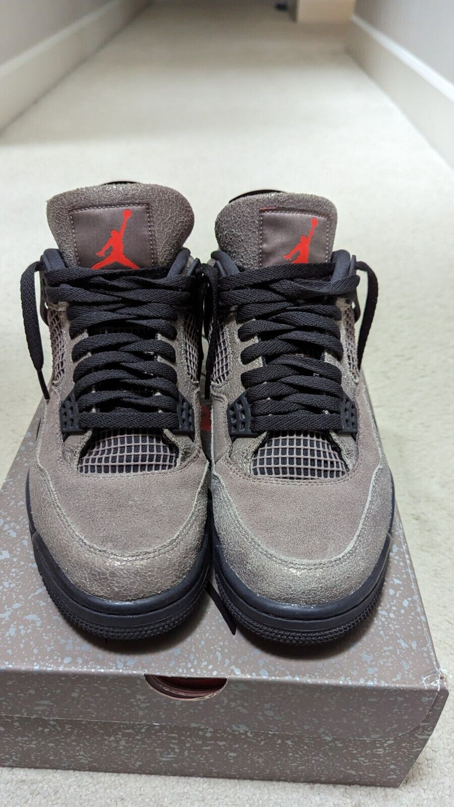 OG Batch Air Jordan 4 Retro Taupe Haze review C. Hudson 01