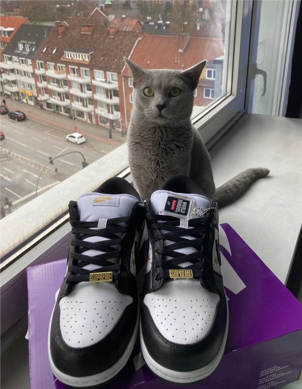 SX Supreme x Nike SB Dunk Low Black Stars review Riose 02