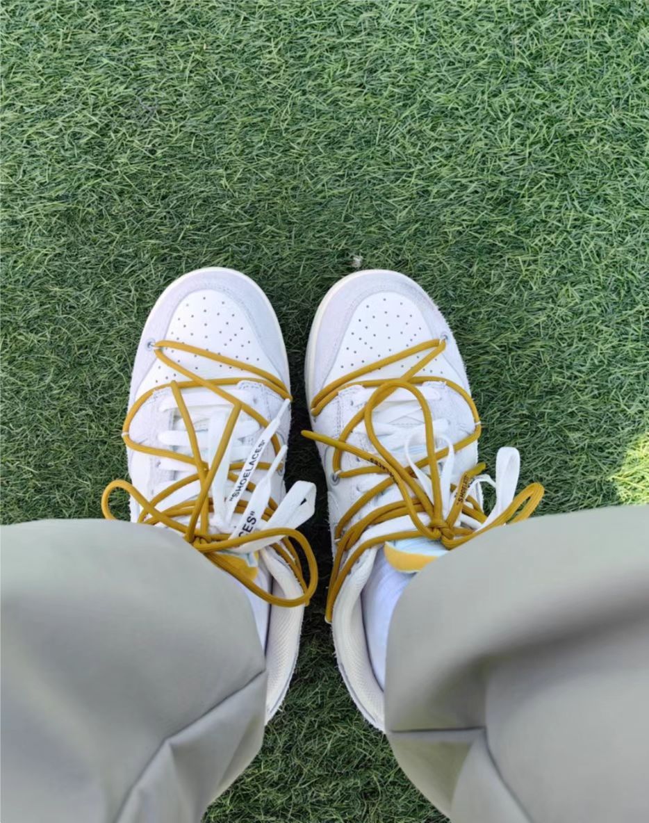 GB OFF WHITE x Nike Dunk SB Low The 50 NO.37 review 0