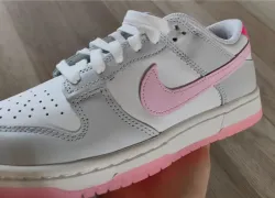 SX Nike Dunk Low pro iso ‘’Summit White and Pink Foam  review jucy 01