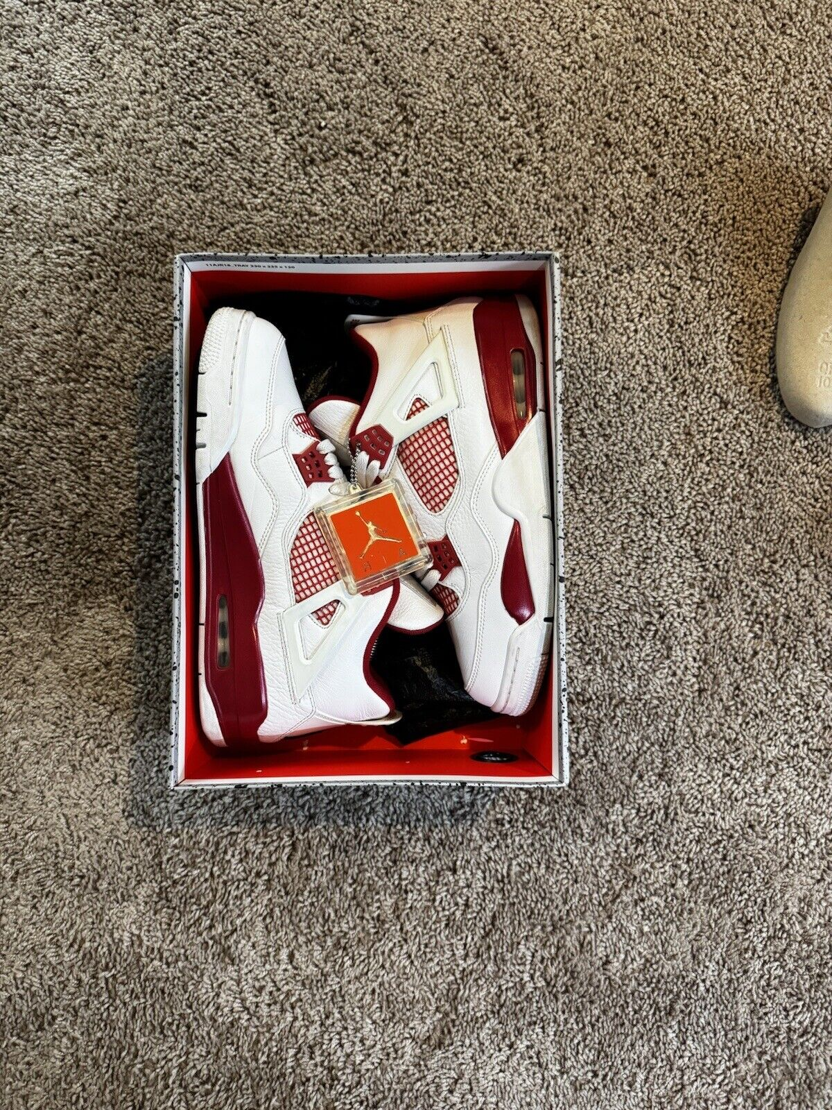 PB Batch  Air Jordan 4 Retro Alternate 89 review Alex 02