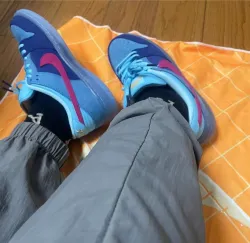 SX Run The Jewels × Nike Dunk SB Low Blue Haired Monster review Chelsey 02