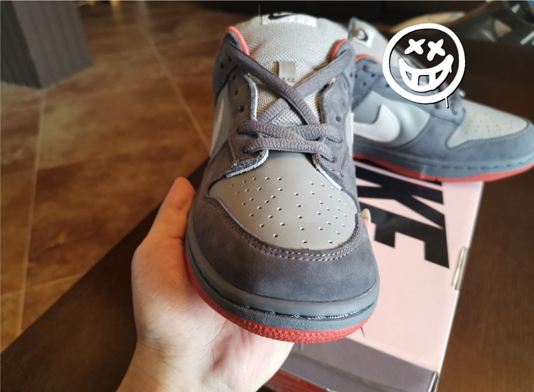 GB Nike SB Dunk Low Staple Pigeon review lisa williams 02
