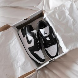 XH Air Jordan 1 Low New Black and White Panda review David