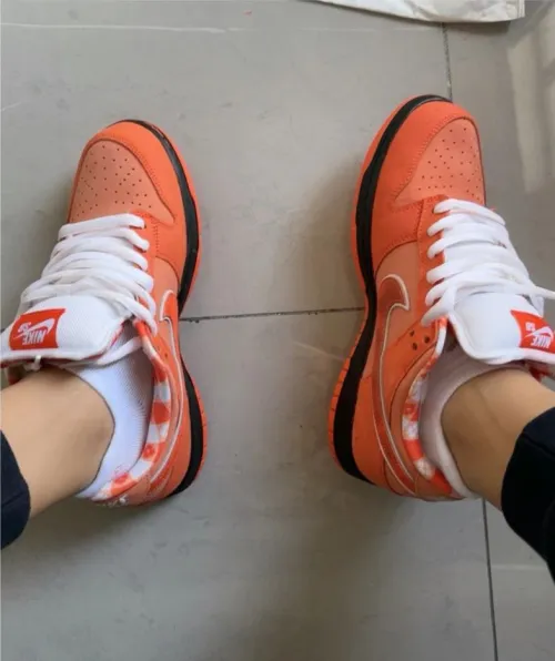 SX Concepts x Nike SB Dunk Low “Orange Lobster” review 