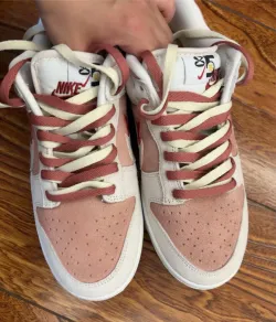 SX Nike SB Dunk Low “Year of the Rabbit” review Tomer 02