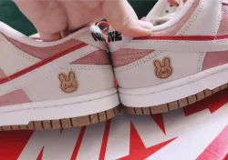 SX Nike SB Dunk Low “Year of the Rabbit” review pkinney 02