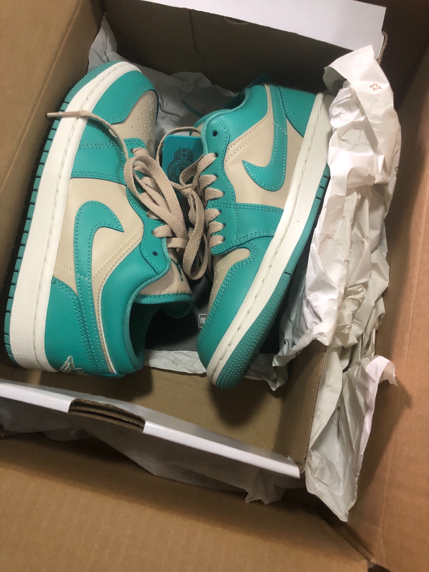 XH Air Jordan 1 Low Tropical Teal review Aria