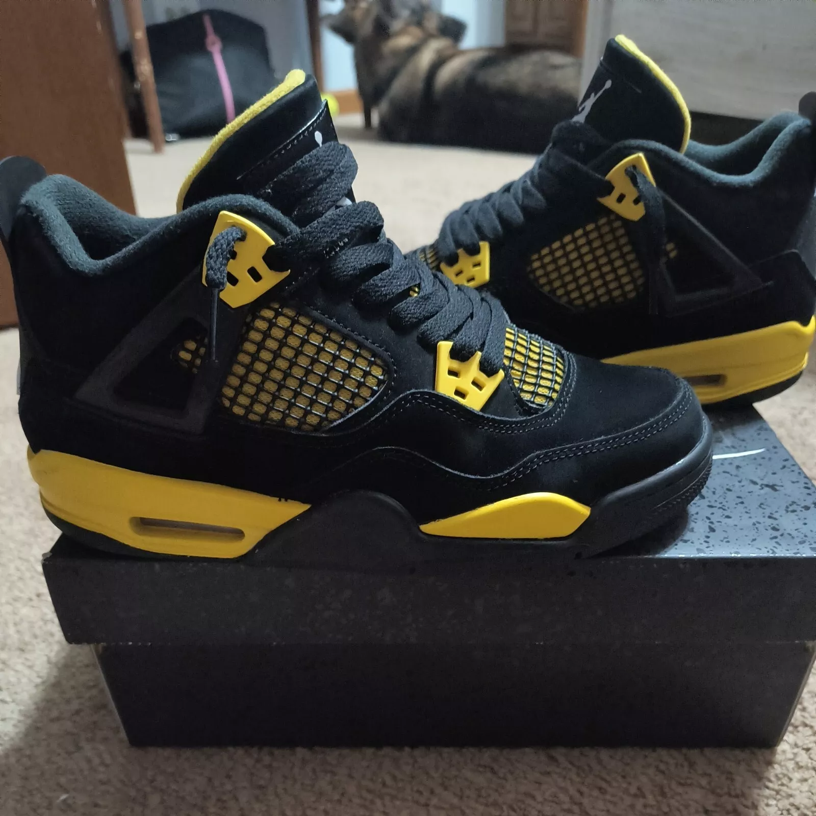 PB Batch  Air Jordan 4 Thunder review 0