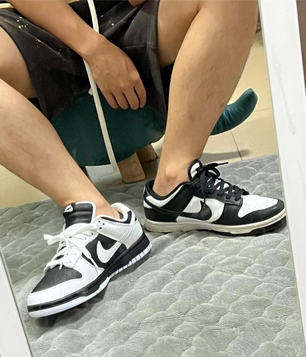 SX Nike Dunk Low Reverse Panda review Jamo 02