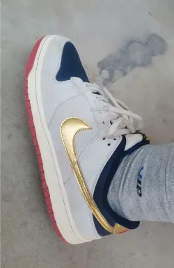 SX Nike Dunk SB Low Pro Old Spice review Leaunna johnson