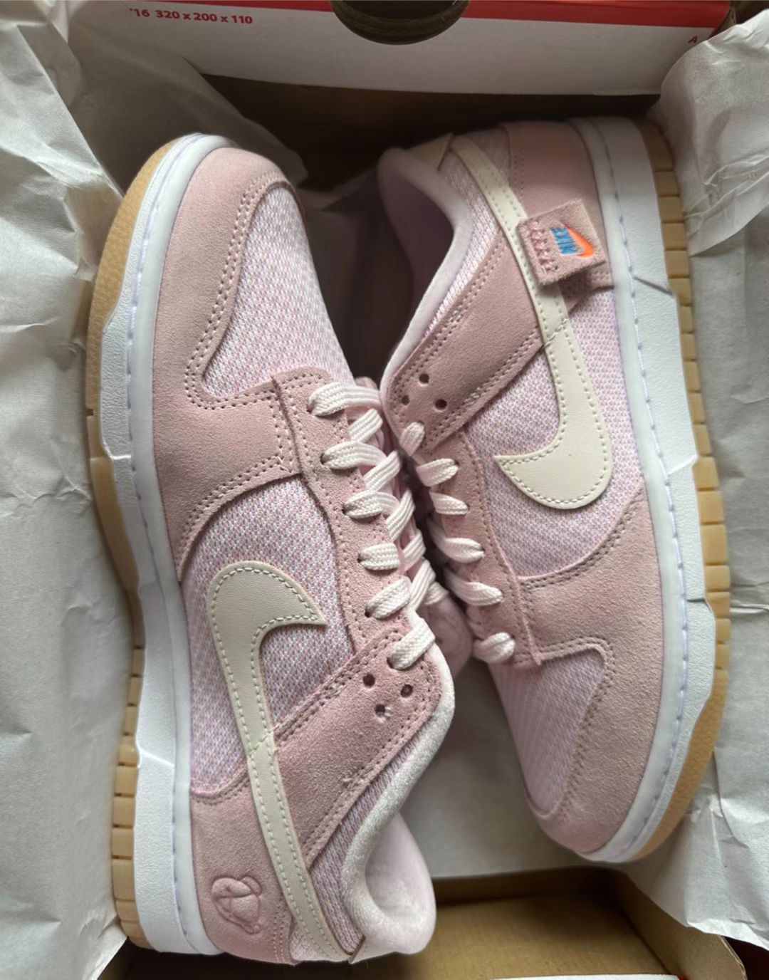 GB Nike Dunk Low Teddy Powder review Nick 02