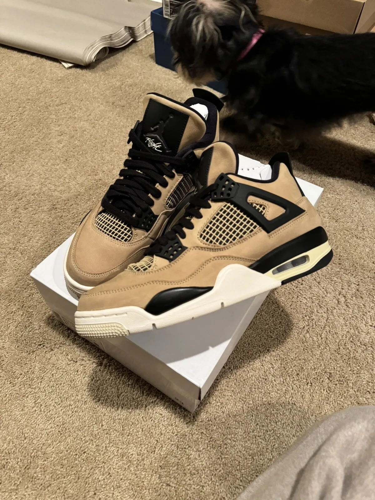 PB Batch  Air Jordan 4 Retro Pearl Milk Tea review Darren Chen 01