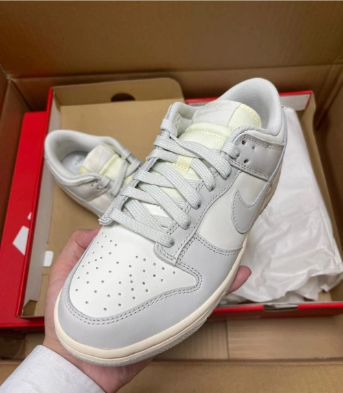 SX Nike Dunk Low Light Bone review 