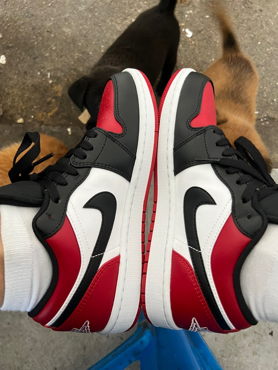 XH Air Jordan 1 Low Bred Toe review Isabelle 02