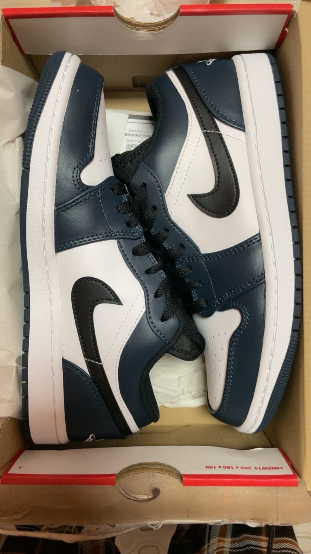 XH Air Jordan 1 Low Dark Teal review Isabella 03