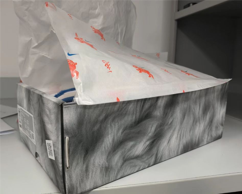 GB Nike Dunk Low Retro PRM review inasty 02