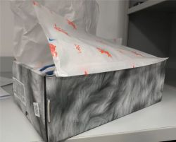 GB Nike Dunk Low Retro PRM review inasty 02
