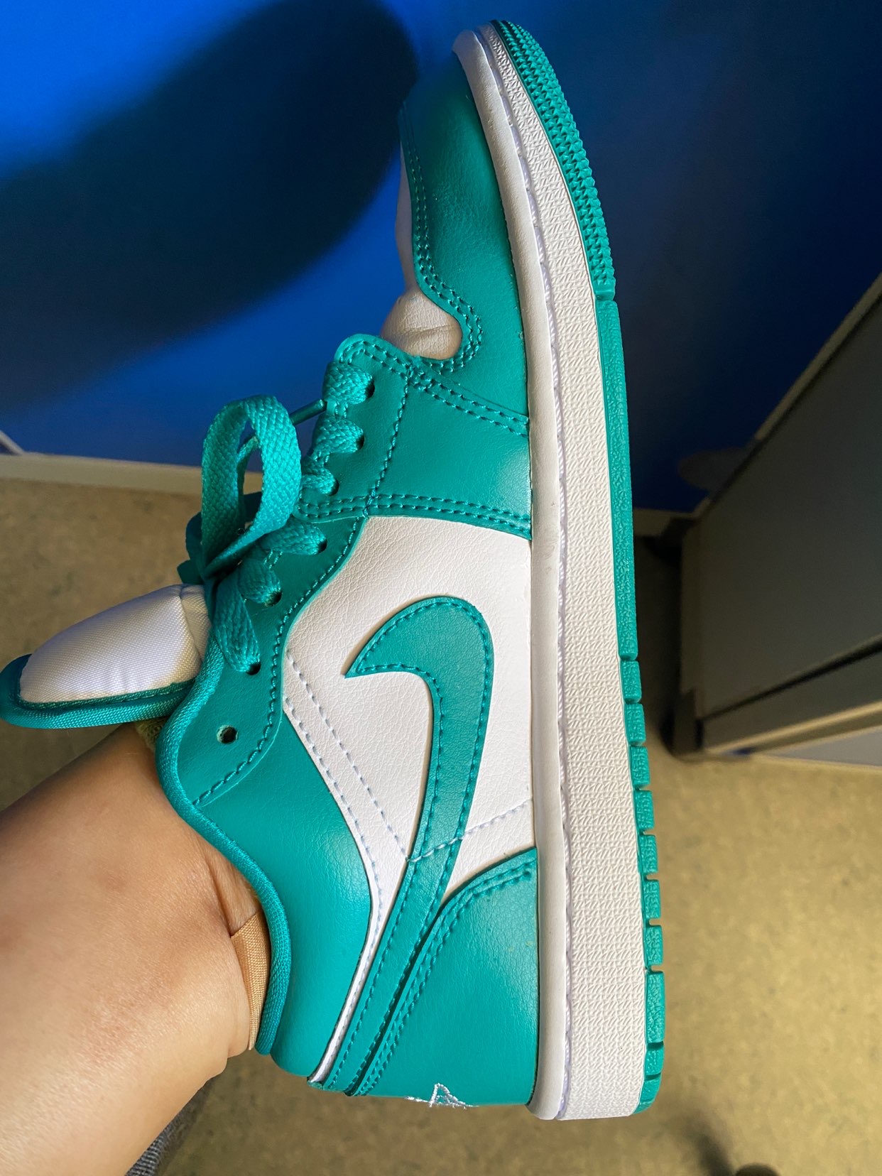 XH Air Jordan aj1 Low Vintage White Green review Mia