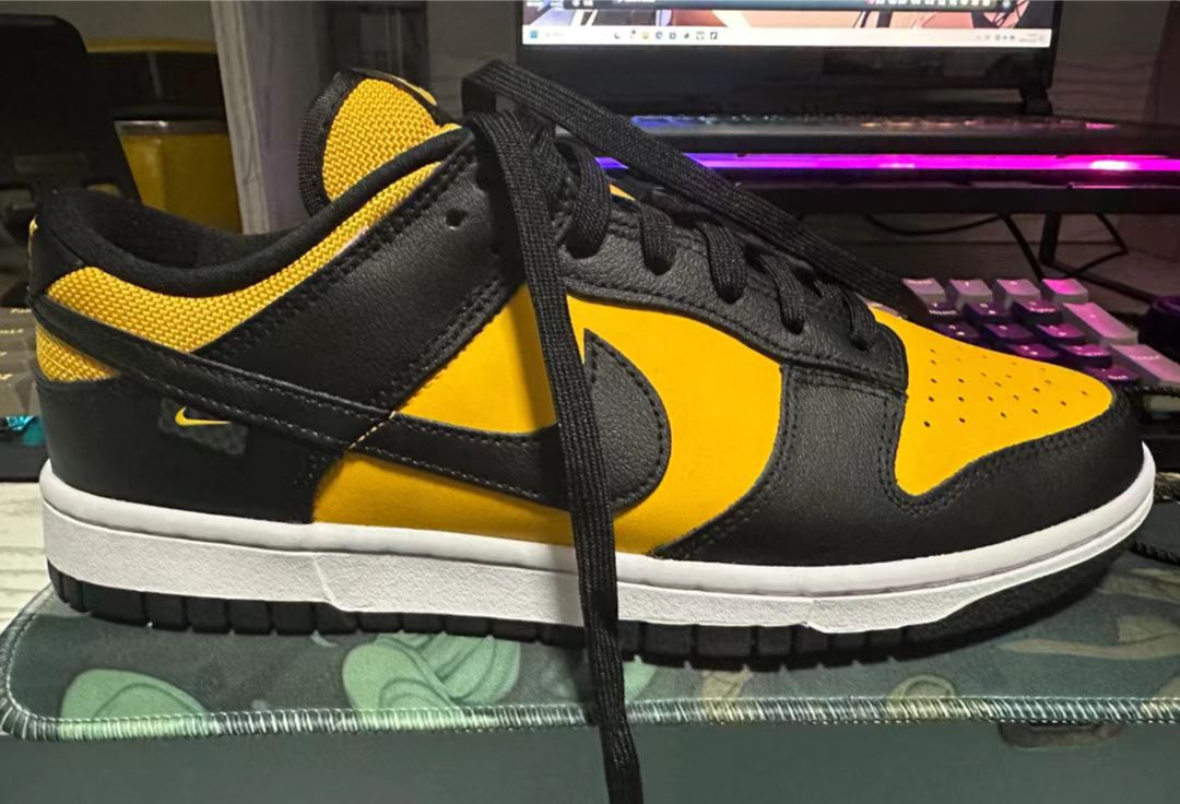 SX Nike SB Dunk Low Michigan review Cameron