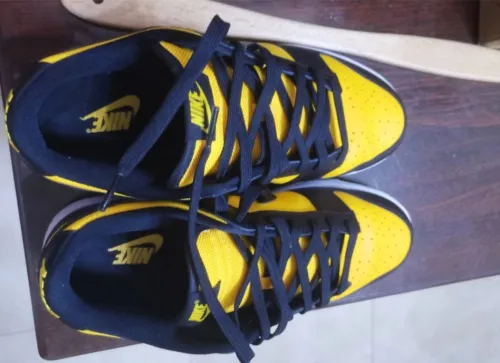 SX Nike SB Dunk Low Michigan review 