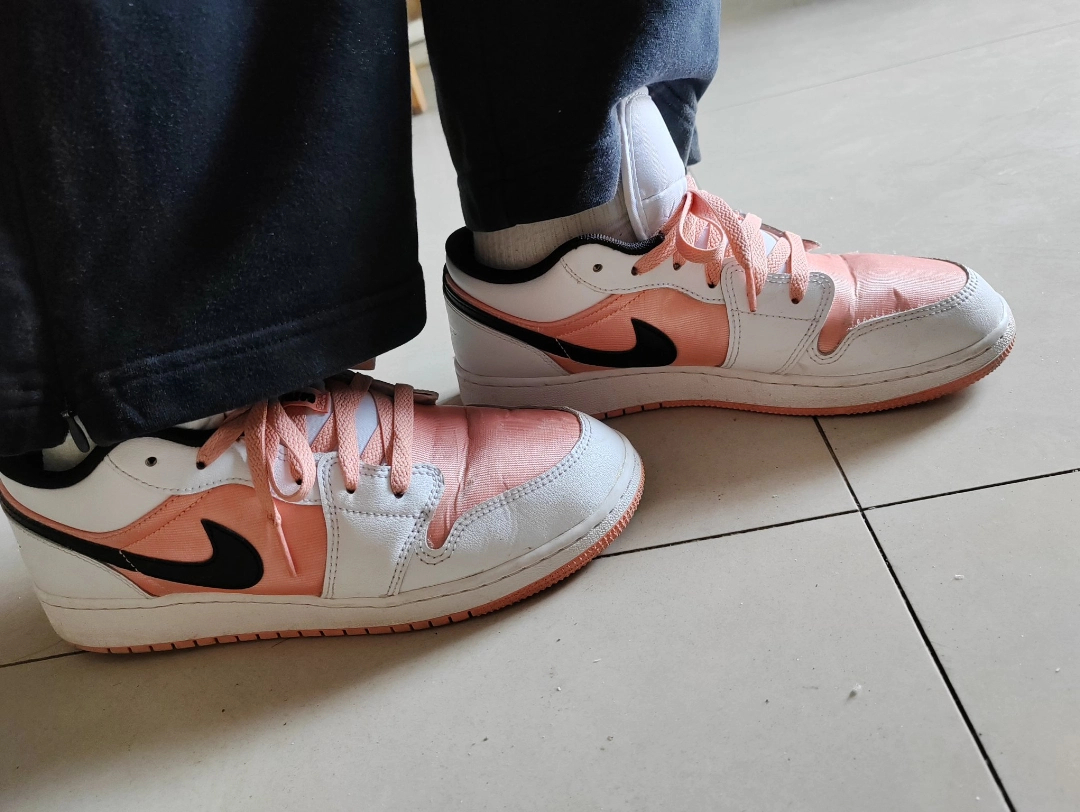 XH Air Jordan 1 Low Light Madder Root review Carlos 01