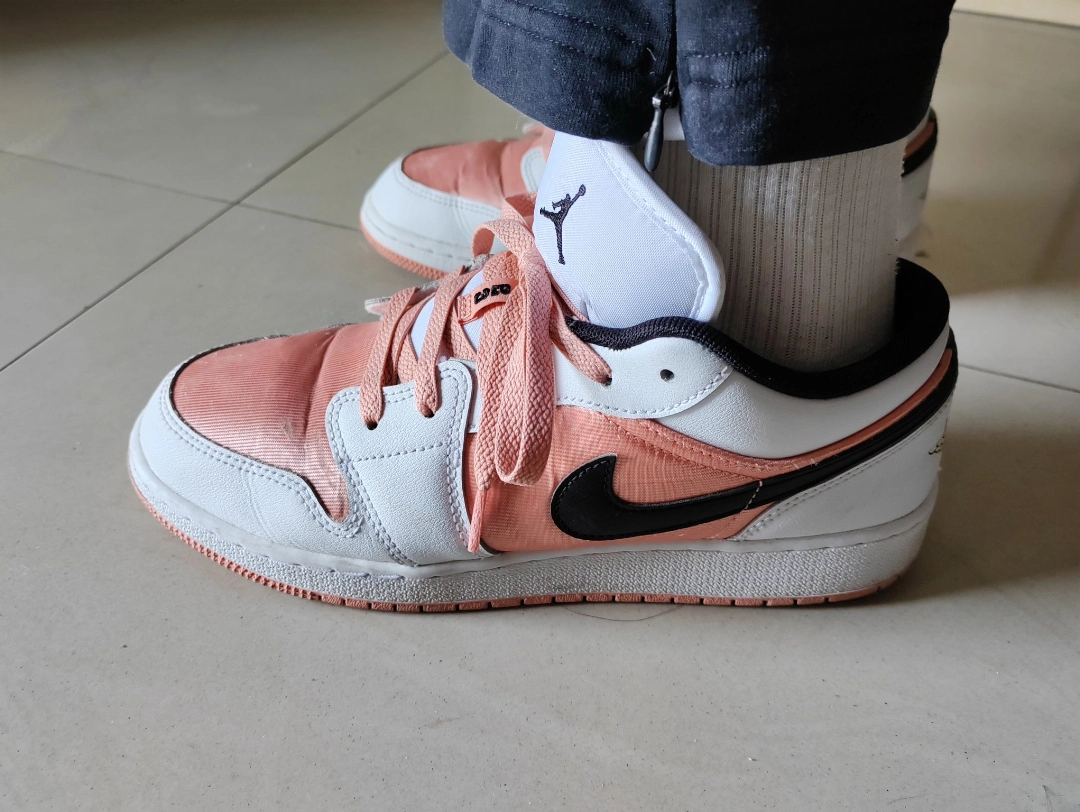 XH Air Jordan 1 Low Light Madder Root review Carlos 03