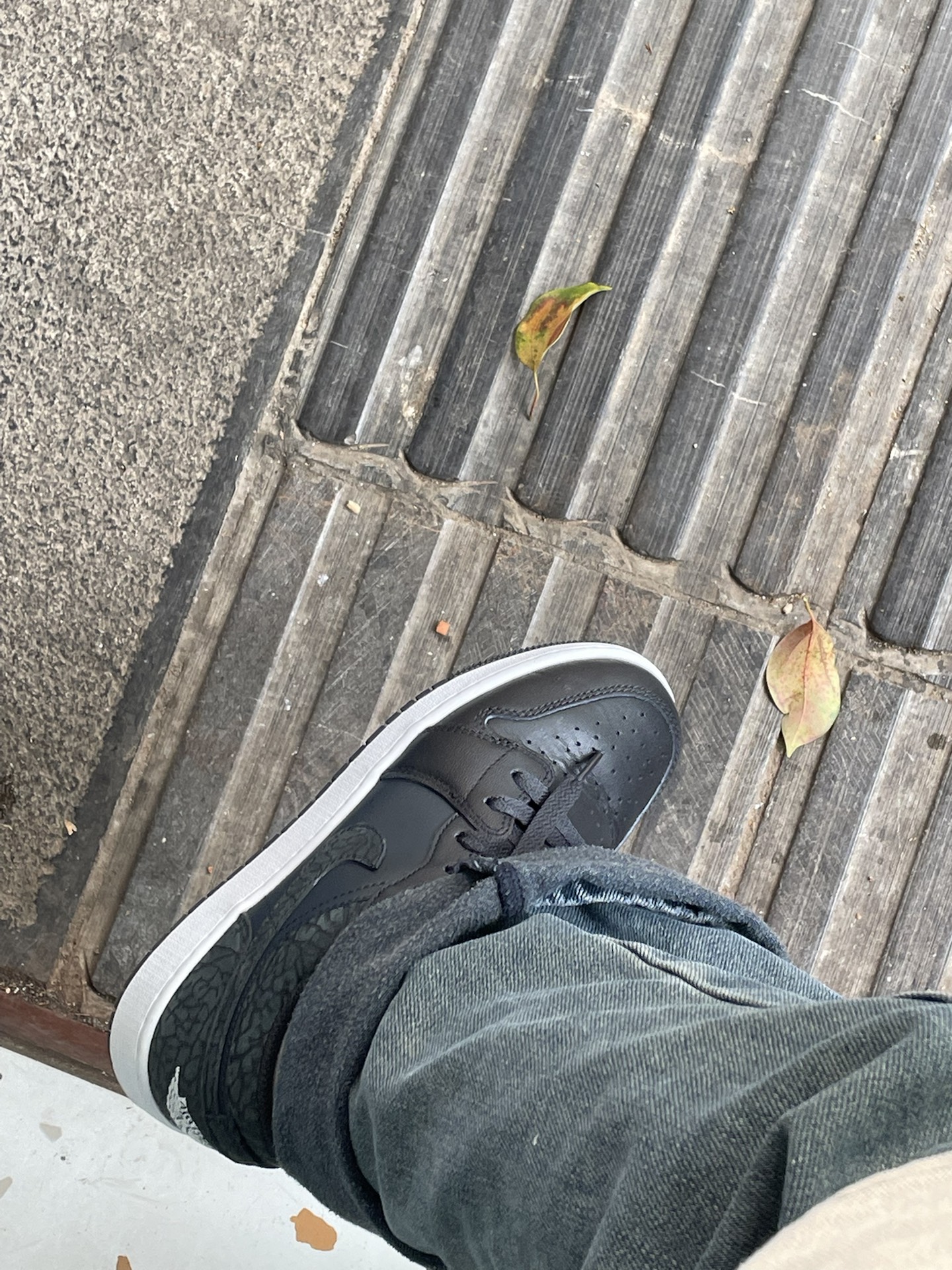 XH Air Jordan 1 Low "Black Elephant" review Mason 03