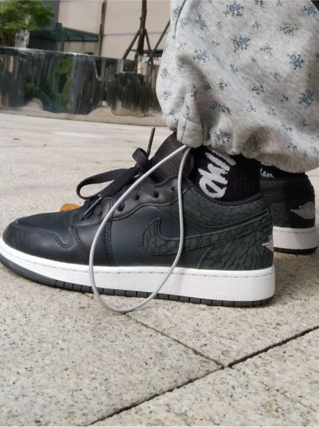 XH Air Jordan 1 Low "Black Elephant" review Charlotte