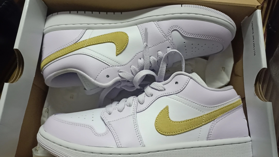 XH Air Jordan 1 Low PAICU review Levi