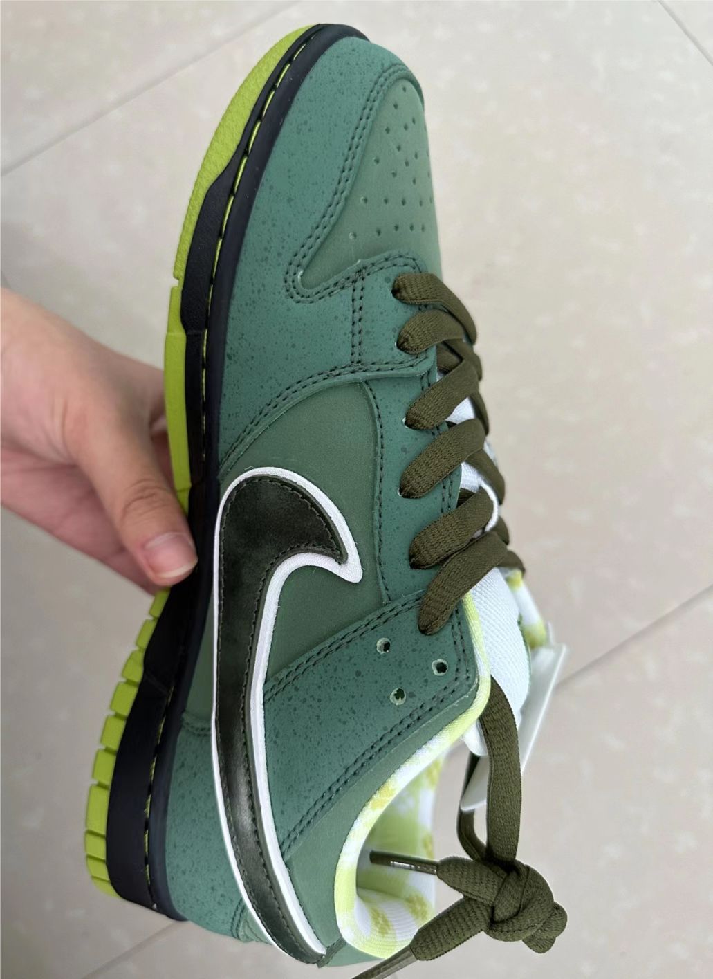 SX Nike Dunk SB Concepts Green Lobster review Botox babe