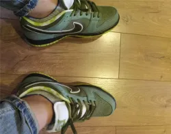 SX Nike Dunk SB Concepts Green Lobster review Gerardo 01