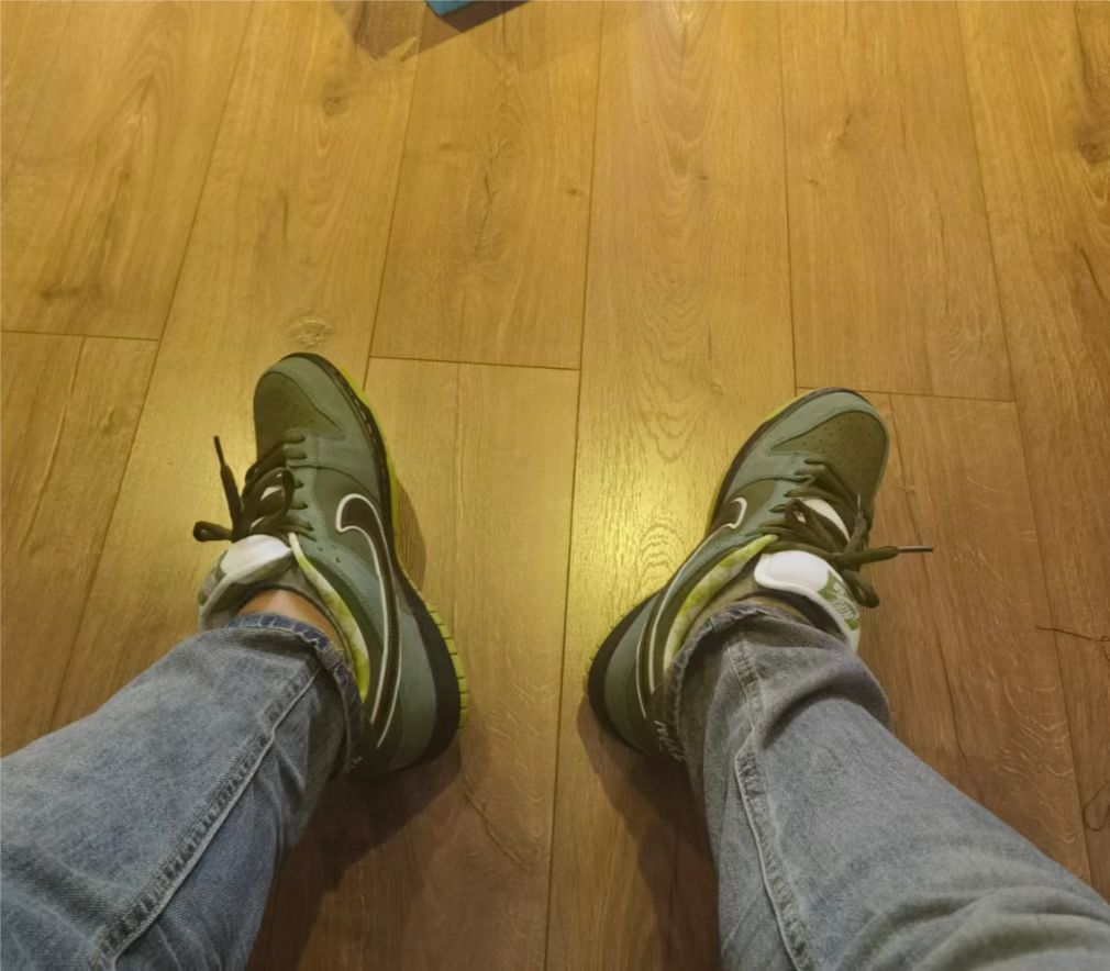 SX Nike Dunk SB Concepts Green Lobster review Gerardo 02