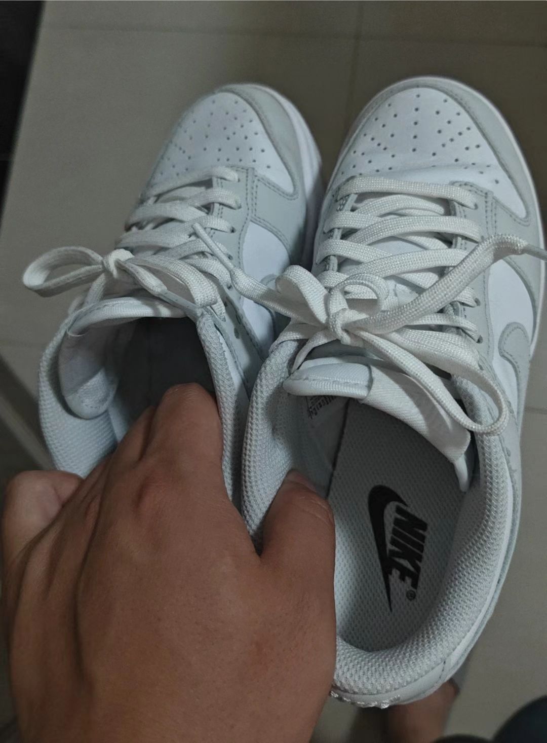 SX Nike Dunk Low Photon Dust review Daniel