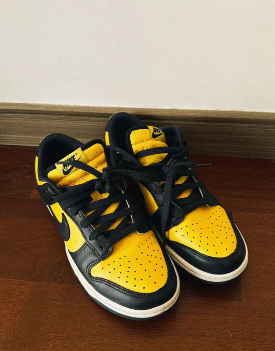 M Batch Nike Dunk Low Michigan review Budda_Lover808