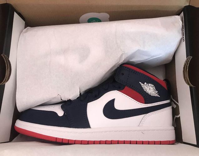 MID Air Jordan 1 Mid SE USA review Hailey