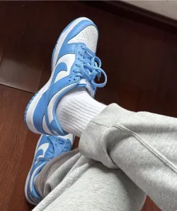 Nike Dunk Low Coast review phen 01